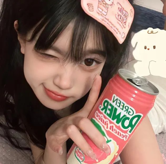 蠢蛋进化论