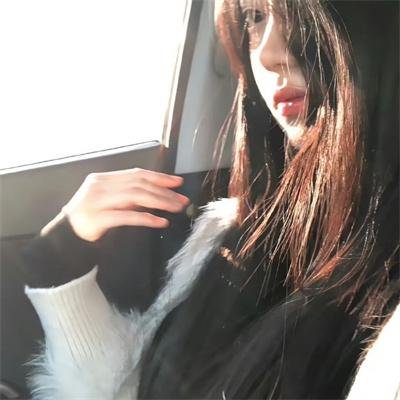 冰原小恐龙